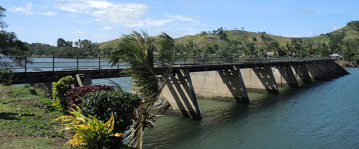矮桥横跨宽河;前景中棕榈树的树枝在风中摇曳。