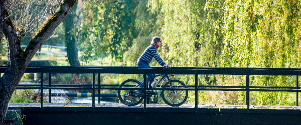 A female student cycles over a bridge with the trailing branches of weeping willows in the background.