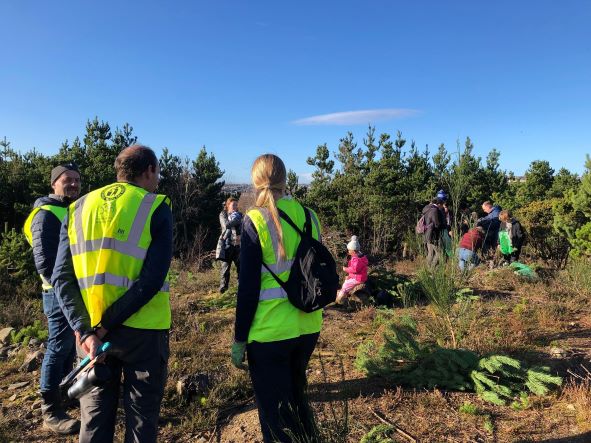 Each year, Kilvey Community Woodland Volunteers, invite families up onto the hillside, where they can chop down one of the hundreds of pine trees which cover it, and take it home free of charge.