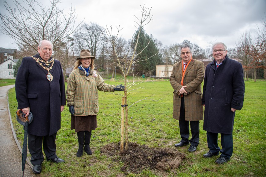 第一棵树种植在威尔士三一圣大卫大学(UWTSD)兰彼得分校，这是校园种植200棵本地树项目的一部分