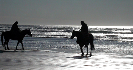 黄昏时分，海滩上矗立着两匹马和骑手的剪影。