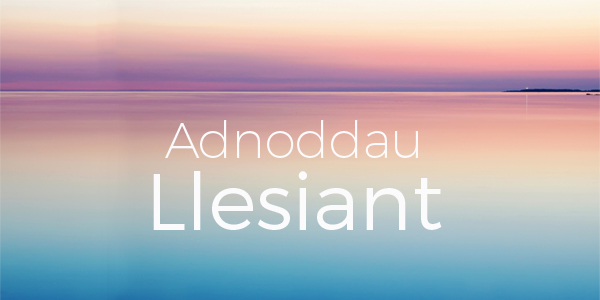 Adnoddau Llesiant