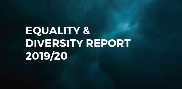 年度报告:《平等与多样性年度报告》