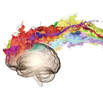 大脑与颜色