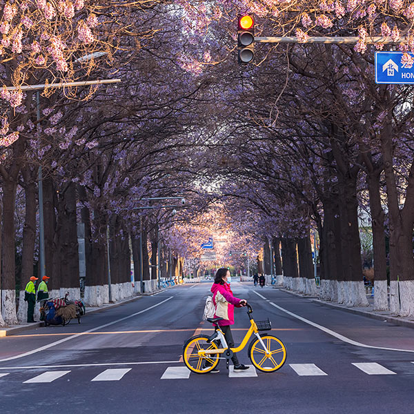 北京，中国在春天，女性戴着面具穿过人行道