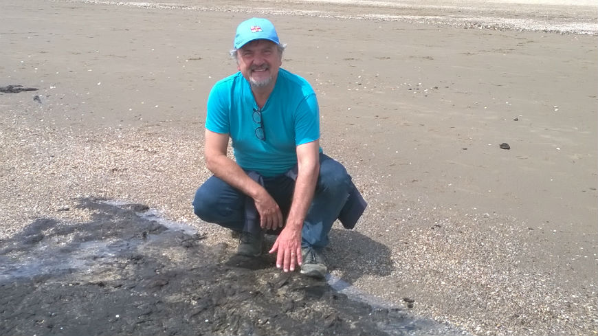 西蒙·哈斯利特教授在斯旺西湾低潮时研究了淹没的森林床，这是过去气候和海平面变化的证据。